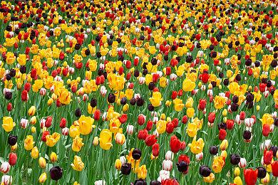 悟空收藏版和豪华版首轮秒售罄！《黑神话：悟空》实体版开启第二轮预约